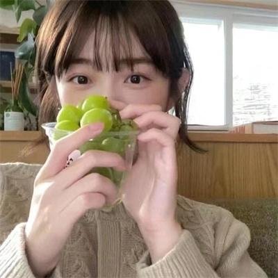 追梦小海豚
