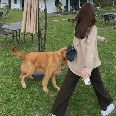弃宝之岛：遥与魔法镜